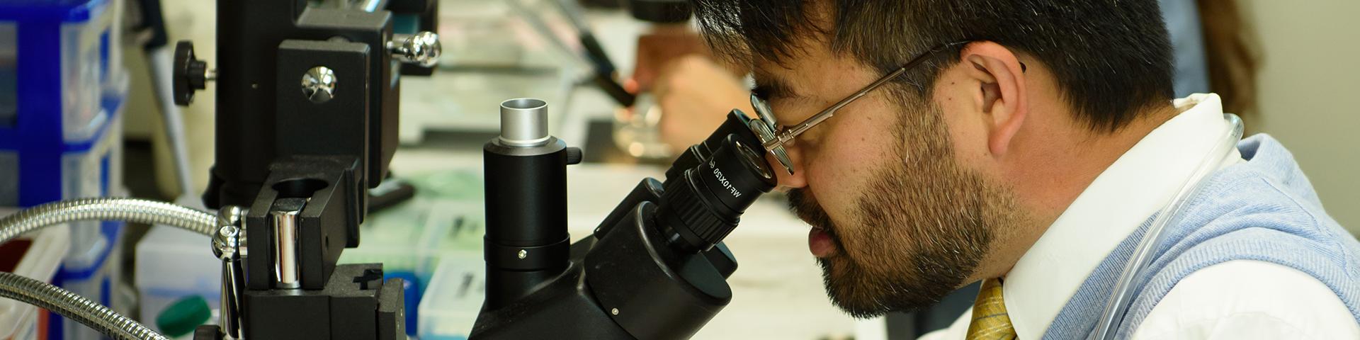 Post doc working in lab looking in microscope