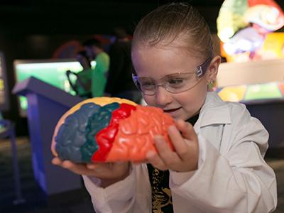 Brain Blitz: Hands-on Brain Science for Kids